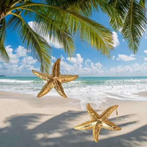 Shining Star of the Caribbean